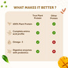 Neuherbs True Plant Protein Powder With Omega 3 (Digestive Enzymes & Probiotics)|Kulfi Flavour|500Gm