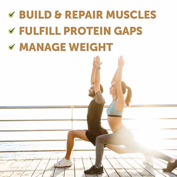 Neuherbs True Plant Protein Powder With Omega 3 (Digestive Enzymes & Probiotics)|Kulfi Flavour|500Gm