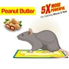 Wonder Fresh Glue Trap