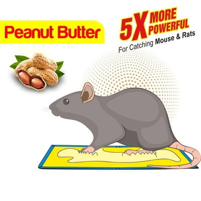 View product image 2