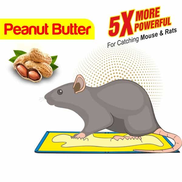 Wonder Fresh Glue Trap
