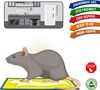 Wonder Fresh Glue Trap
