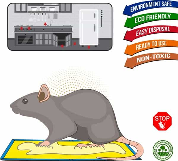 Wonder Fresh Glue Trap