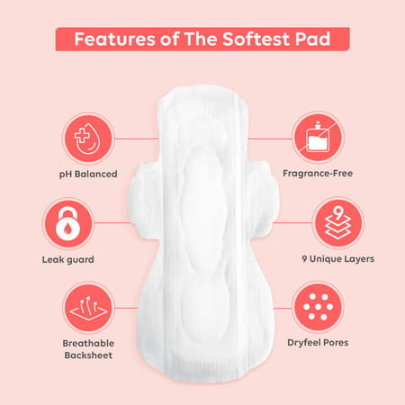 Laiqa Premium Sanitary Pads Ultrathin Day Large (10)