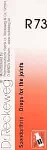 Dr. Reckeweg R 73 Joint Pain Drops 22 Ml