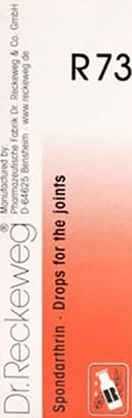 Dr. Reckeweg R 73 Joint Pain Drops 22 Ml