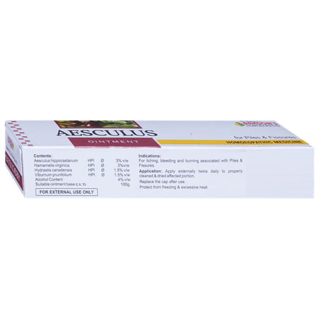 Baksons Homoeopathy Aesculus Ointment 25 Gm