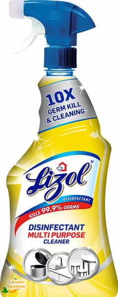 Lizol Power All Purpose Disinfectant Liquid Bottle Of 450 Ml