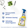 Lizol Power All Purpose Disinfectant Liquid Bottle Of 450 Ml