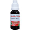 Adel Syzygium Jambolanum Mother Tincture Q 20 Ml