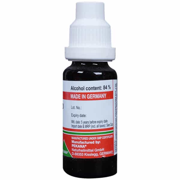 Adel Syzygium Jambolanum Mother Tincture Q 20 Ml
