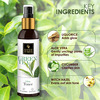 Good Vibes Glow Toner - Green Tea - 200 Ml