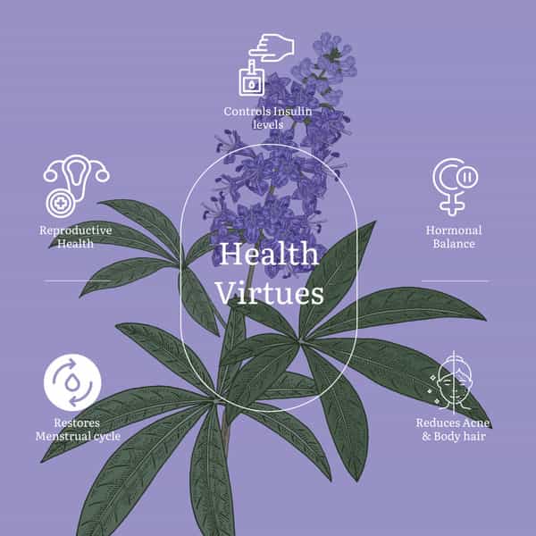 Earthful Pcos Balance Capsules Promoting Better Cycle(30 Days Pack | 30 Capsules)