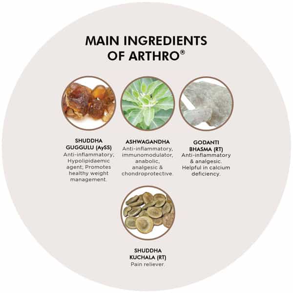 Arthro Joints Pain Relief 30 Capsules ( Pack Of 2 )