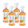 Pearldew Sanitizer Spray (Orange) 500 Ml | Aloe & Neem | Paraben Free (Pack Of 2)