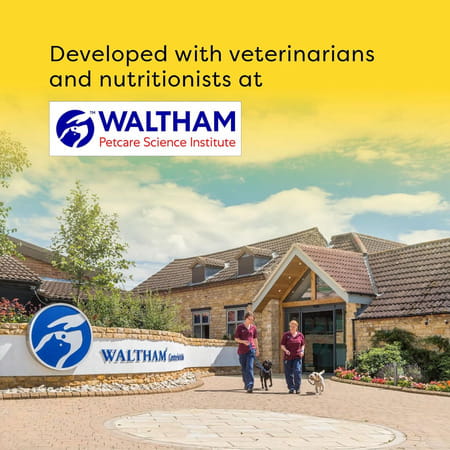 Temptations Crunchy Cat Treats | Seafood Medley Flavour | 85 G (Pack Of 12)