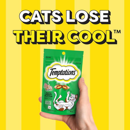 Temptations Crunchy Cat Treats | Seafood Medley Flavour | 85 G (Pack Of 12)