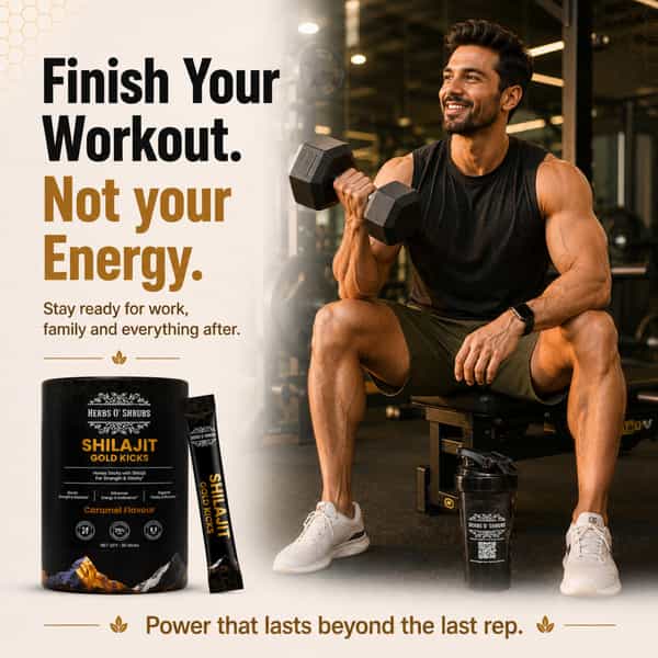 Herbs O' Shrubs Shilajit Gold Kicks | Ayurvedic Men Wellness Supplement | 30 Sticks