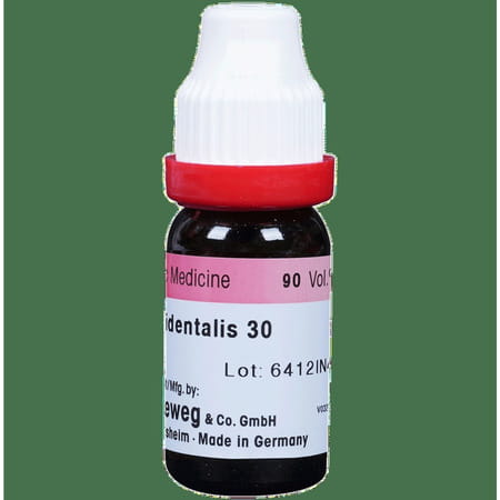 Dr. Reckeweg Thuja Occ Dilution 30 Ch 11 Ml