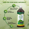 Baidyanath Neem Karela Jamun Juice | Best For Diabetic | Skin Care & Natural Detoxification - 1L