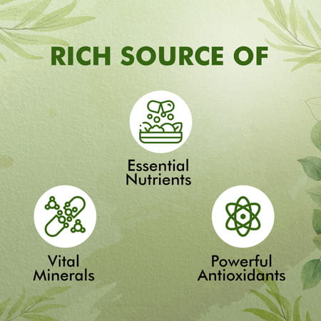 Baidyanath Neem Karela Jamun Juice | Best For Diabetic | Skin Care & Natural Detoxification - 1l