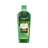 Panchvati Herbals Neem Tulsi Shampoo With Conditioner For Anti Dandruff | Hair Fall Control - 450 Ml