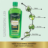 Panchvati Herbals Neem Tulsi Shampoo With Conditioner For Anti Dandruff | Hair Fall Control - 450 Ml