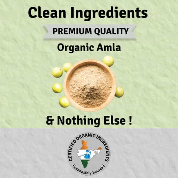 Jus Amazin Organic Amla Powder (500G) Clean Nutrition Superfood