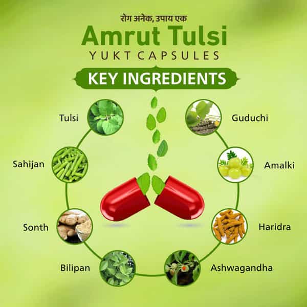 Amrut Tulsi Capsules 30 Capsules (Pack Of 3)