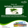 Sidhbali Dant Shuddhi Complete Oral Care | Anti-Fungal | 100% Natural Ingredient Toothpaste - 100G