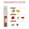 Ajmal Ascend Edp 100Ml & Mercurial Thunder Edt 250Ml For Men & Women Combo Pack Of 2 (Total 350Ml)