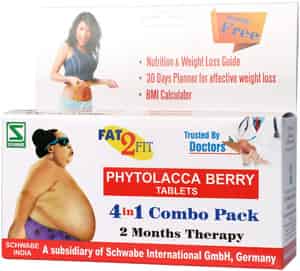 Dr. Willmar Schwabe India Phytolacca Berry(combi) 80 Gm