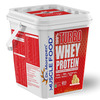 Dr. Morepen Turbo Whey Butter Scotch 4Kg