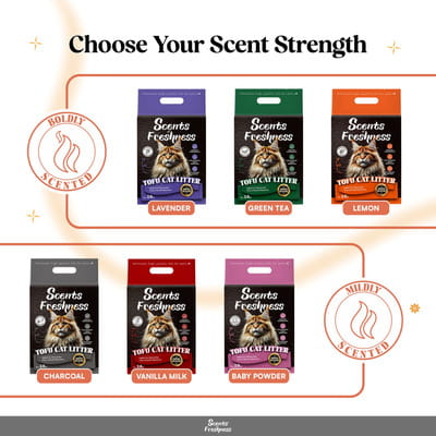 View product image 4