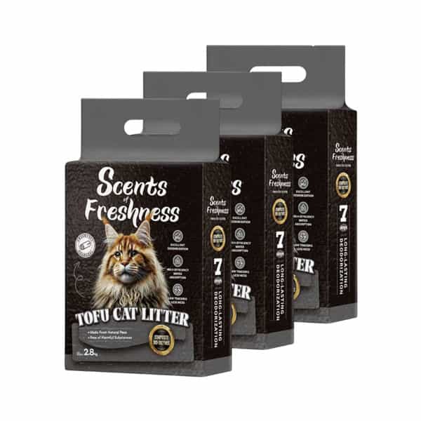 Scents Of Freshness - Premium Grade: 1 Percent Charcoal Black Color - 2.8Kg - 2Mm (Gray)