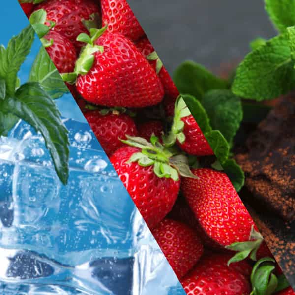Staycool Breath Freshener Spray - Cool Mint Strawberry Chocolate Mint - Pack Of 3