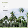 Kapiva Kerala Virgin Coconut Oil (Cold-Pressed For Maximum Nutrition) -500 Ml