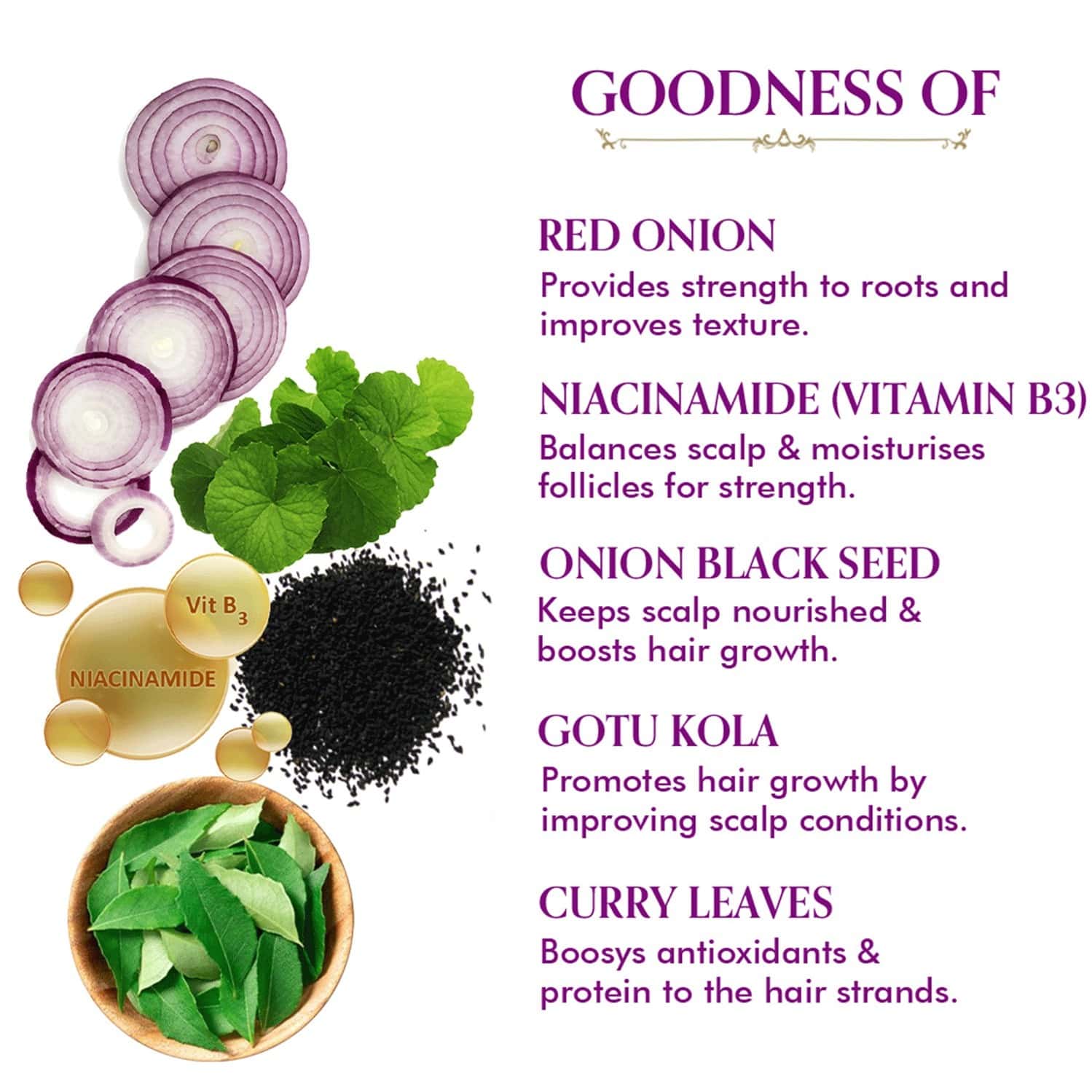 Buy TAC THE AYURVEDA CO. ONION WITH BLACK SEED & NIACINAMIDE HAIR
