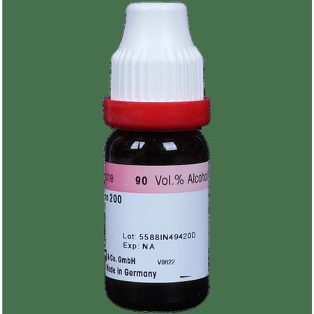 Dr. Reckeweg Rhus Tox Dilution 200 Ch 11 Ml