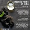 Soulflower Deodorizing Charcoal Soap 150Gm