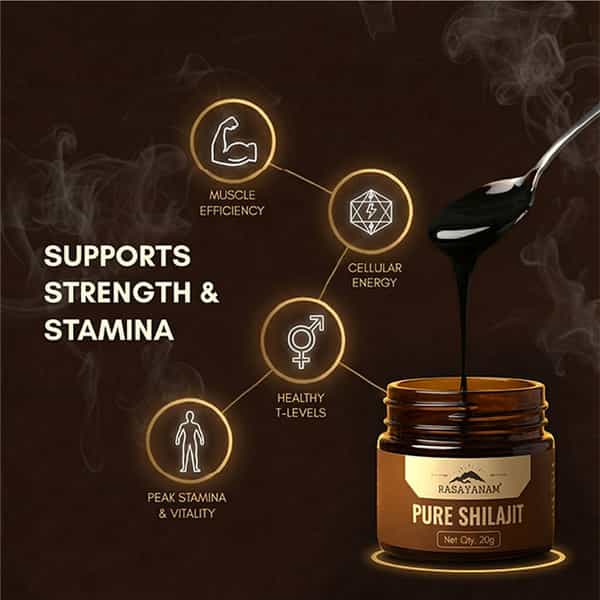 Rasayanam Pure Shilajit |75% Fulvic Acid For Energy & Stamina|20G Pack Of 1