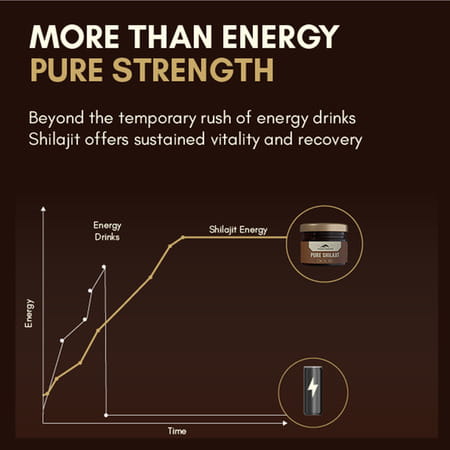 Rasayanam Pure Shilajit |75% Fulvic Acid For Energy & Stamina|20g Pack Of 1