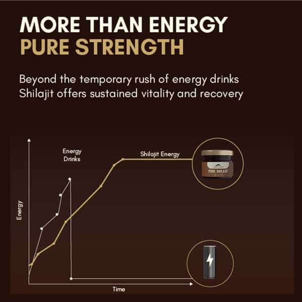 Rasayanam Pure Shilajit |75% Fulvic Acid For Energy & Stamina|20G Pack Of 1
