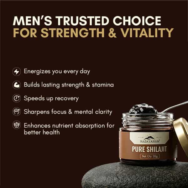 Rasayanam Pure Shilajit |75% Fulvic Acid For Energy & Stamina|20G Pack Of 1