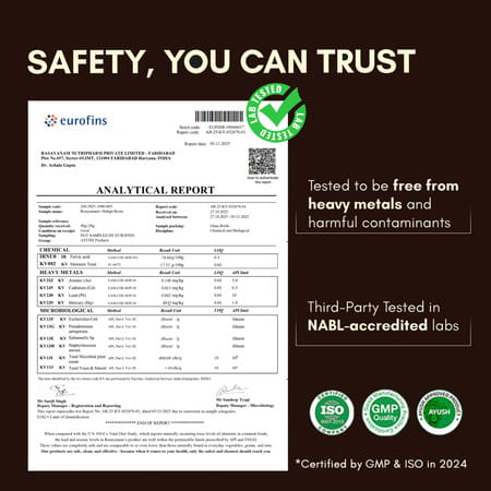 Rasayanam Pure Shilajit |75% Fulvic Acid For Energy & Stamina|20g Pack Of 1