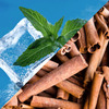 Staycool Breath Freshener Spray - Cool Mint Cinnamon - Pack Of 2