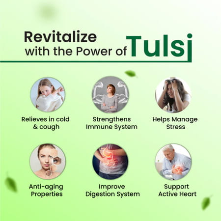 Cipzer Tulsi 30 Capsules | Supports Calmness| Stress Relief & Overall Wellness