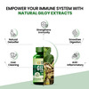 Vlado's Himalayan Organics Giloy Extract | Immunity Booster | 120 Veg Tablets