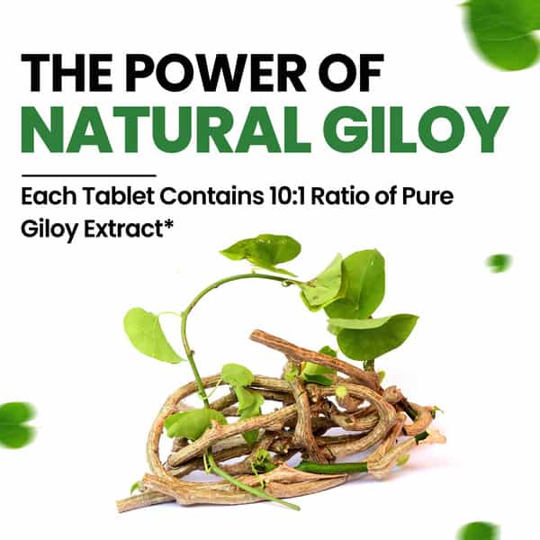 Vlado's Himalayan Organics Giloy Extract | Immunity Booster | 120 Veg Tablets