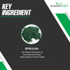 Nourishvitals Spirulina Pure Herbs 500 Mg Spirulina Extract Naturally Vitamins Rich 60 Veg Capsules